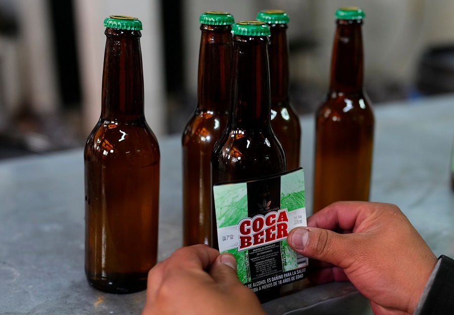 Nace en Bolivia una cerveza hecha de hoja de coca