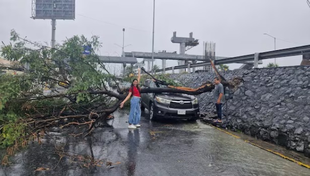 Cae un árbol sobre su camioneta, pero ella sonríe y posa para la foto