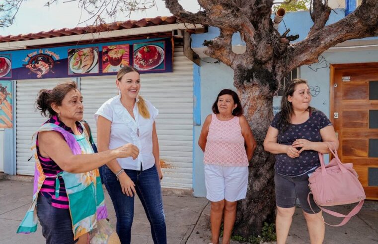 Vamos por una Mérida con justicia social, más humana y verde: Cecilia Patrón 