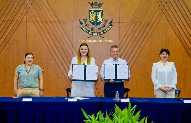 Estamos listos para iniciar una nueva etapa en Mérida: Cecilia Patrón