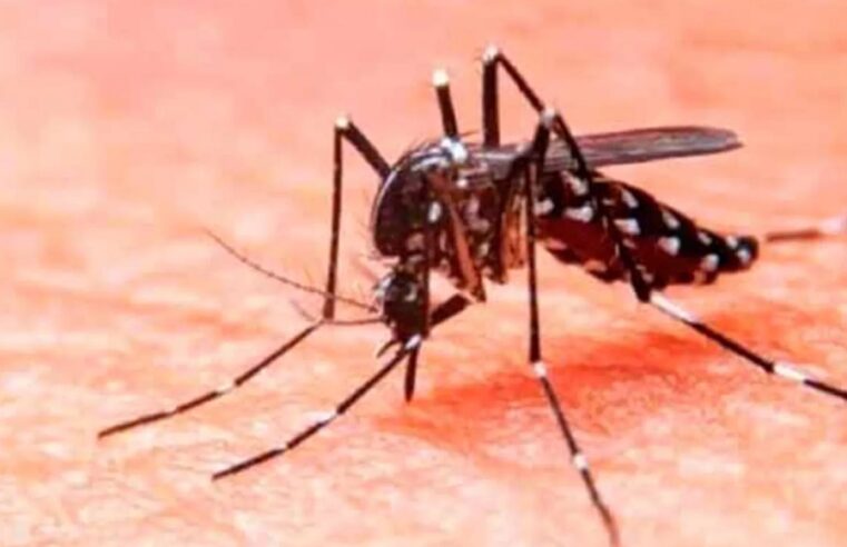 Hay presencia de dengue en estados donde no había, advierte la UNAM