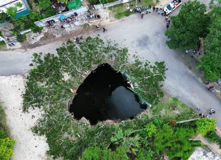 ¿Se cumple una antigua profecía en Yucatán? Vuelve la ceiba al inframundo en Xocén