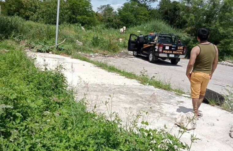 Vuelven los «policías vaqueros»