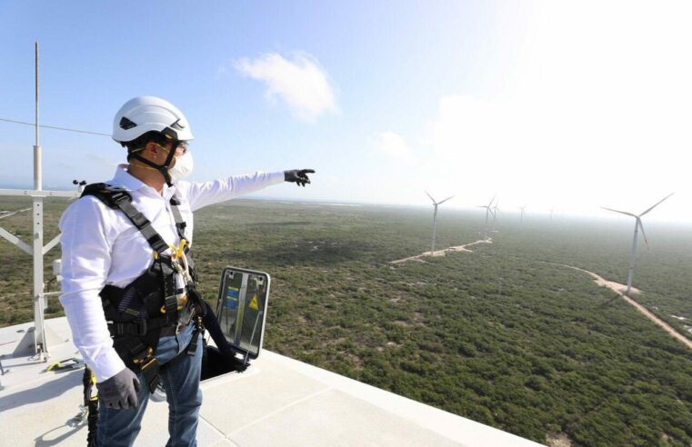 En Yucatán se trabaja en equipo en favor del medio ambiente