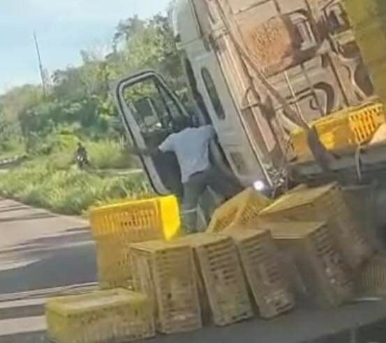 Rapiñan pollos de un camión accidentado en la zona maya de Quintana Roo