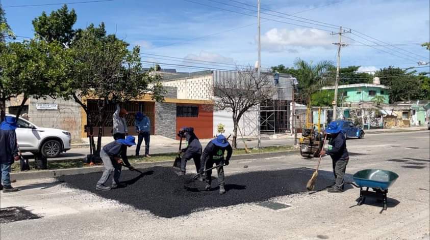 Es una prioridad mejorar las calles de Mérida: Cecilia Patrón