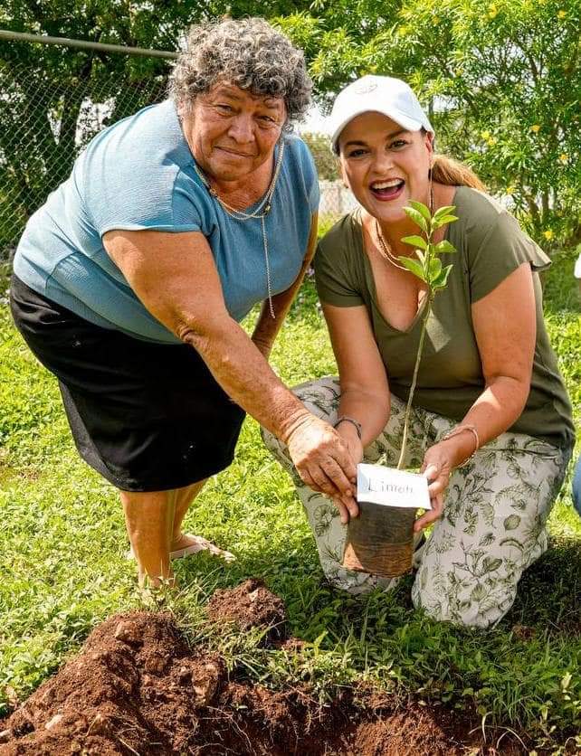 Mérida Verde, estrategia integral para arborizar la ciudad y combatir el cambio climático