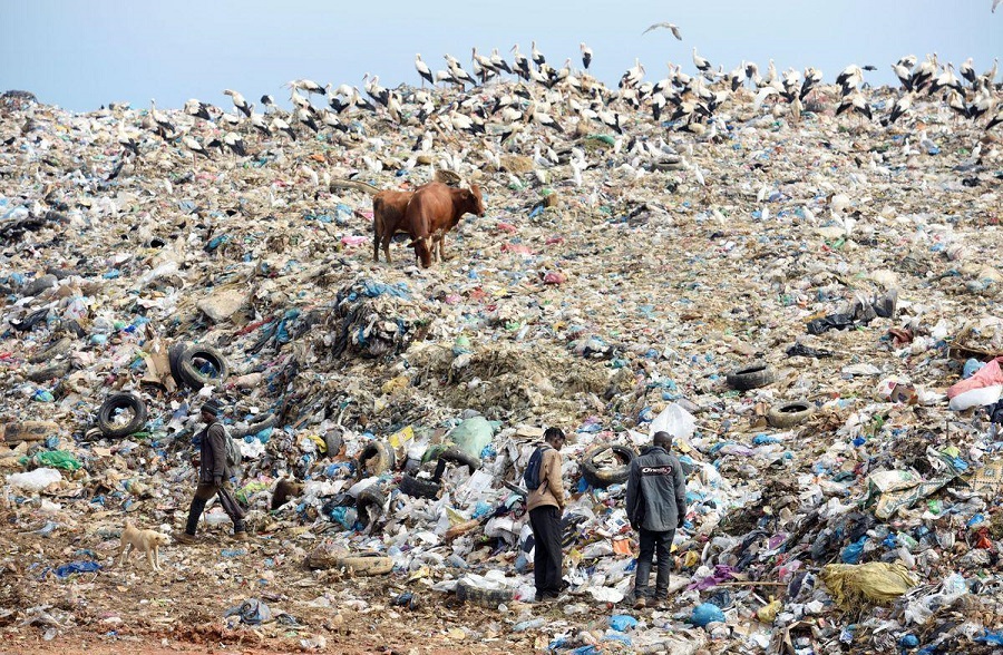 Próxima pandemia surgiría de los tiraderos de basura de los países en desarrollo