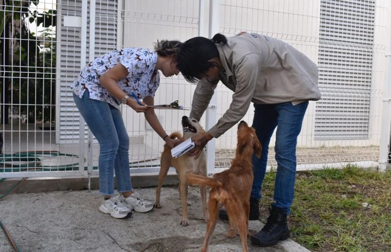 Certifican a personal del Ayuntamiento de Mérida en materia de bienestar animal