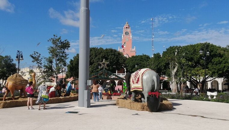 Así trabajarán Servilimpia, Sana, Animaya y El Centenario en Navidad y Año Nuevo