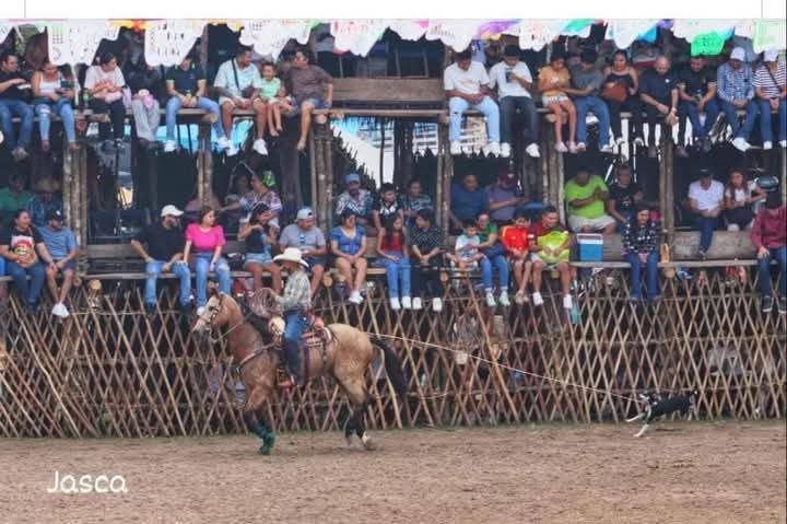 Sin freno maltrato animal en torneos de lazo en Yucatán ¿Y Huacho Díaz apá?