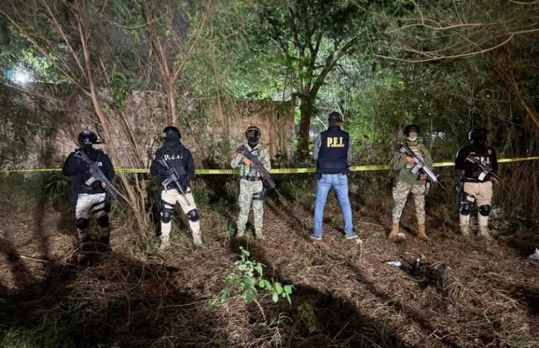 Aseguran más de 100 kilos de drogas al Cártel de Los Epitacio en Yucatán