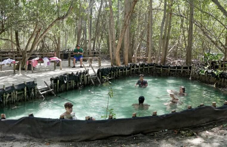 Renace“El Corchito”, ahora con paddle board, paseos en kayak y recorridosben catamarán