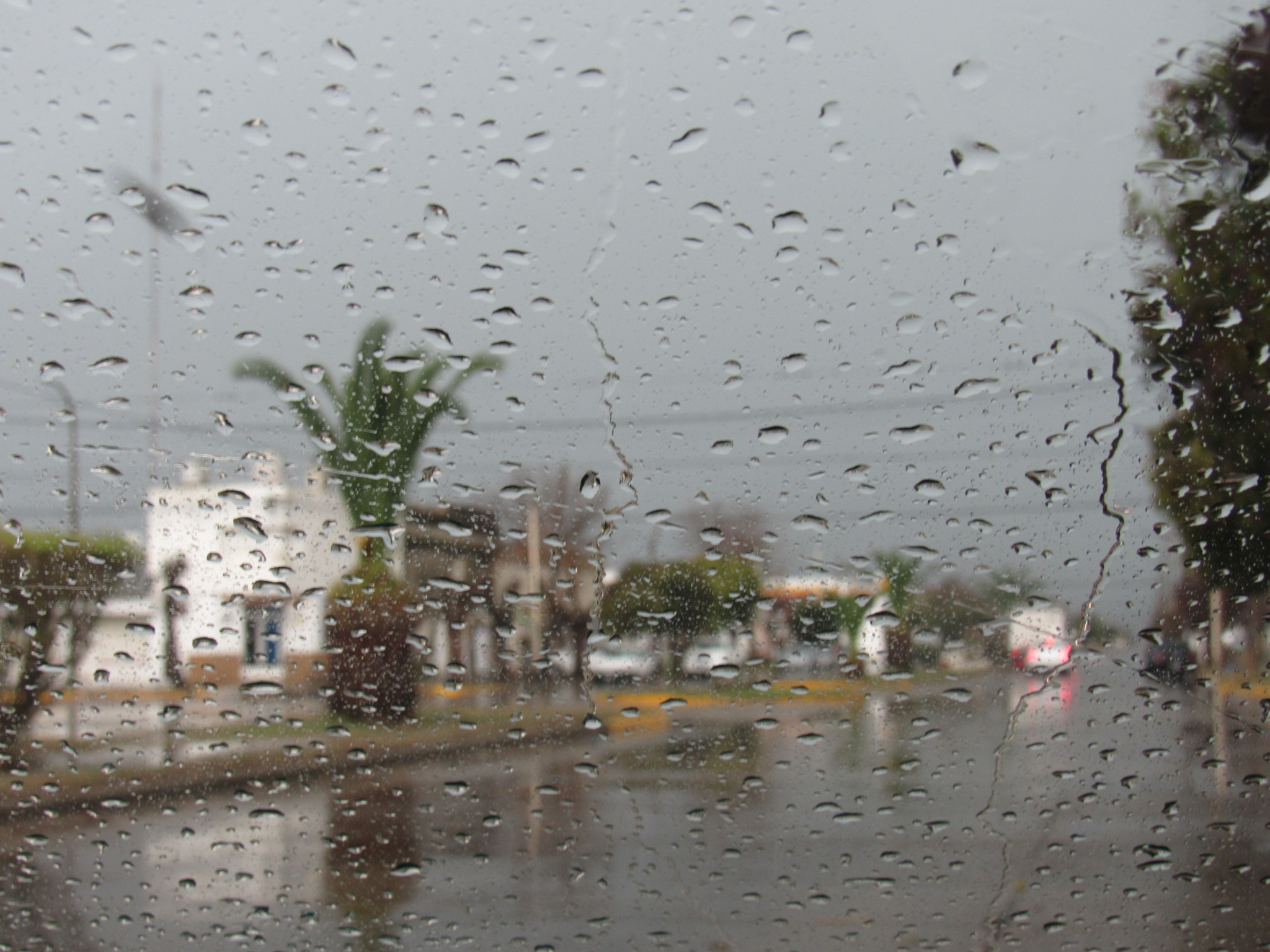 Pronostican lluvia y viento moderado para este Día de Reyes en Yucatán