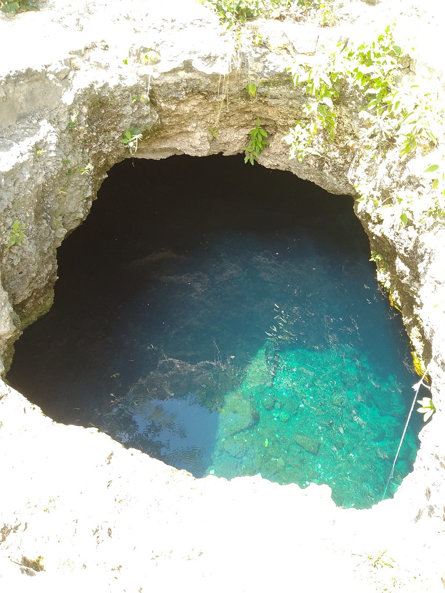 Alumno de la UADY se ahoga en un cenote junto al Campus de Ciencias Sociales