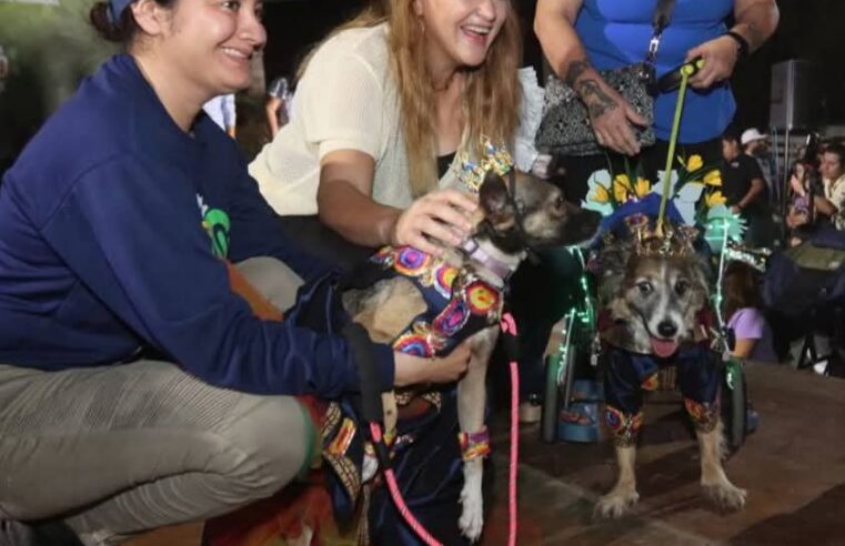 Cecilia Patrón corona a los primeros reyes “perrunos” del Carnaval Amazónico 2025