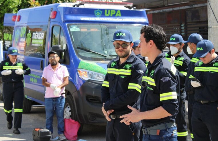 El Ayuntamiento de Mérida rescata a cuatro perritos en Ciudad Caucel