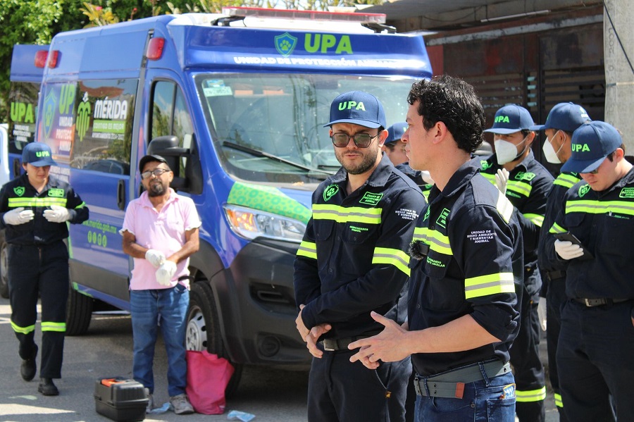 El Ayuntamiento de Mérida rescata a cuatro perritos en Ciudad Caucel