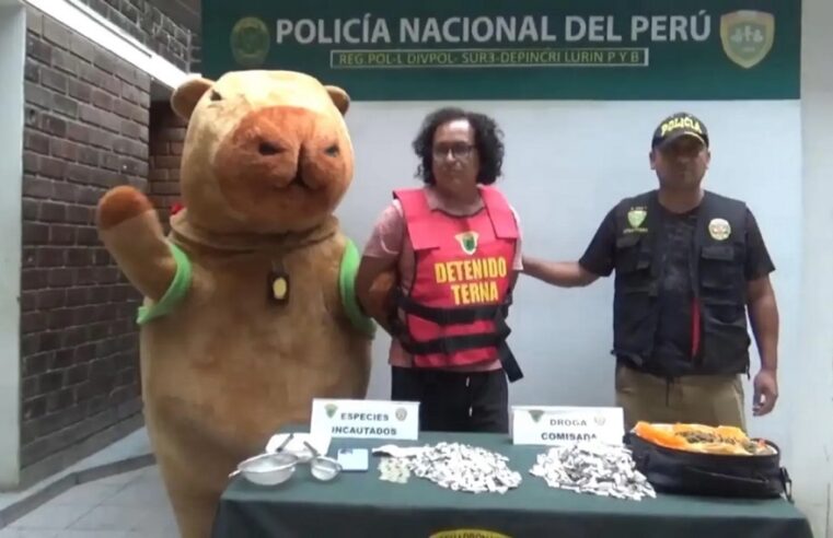 Policía se disfraza de la ‘Capibara del amor’ para capturar a traficante de drogas