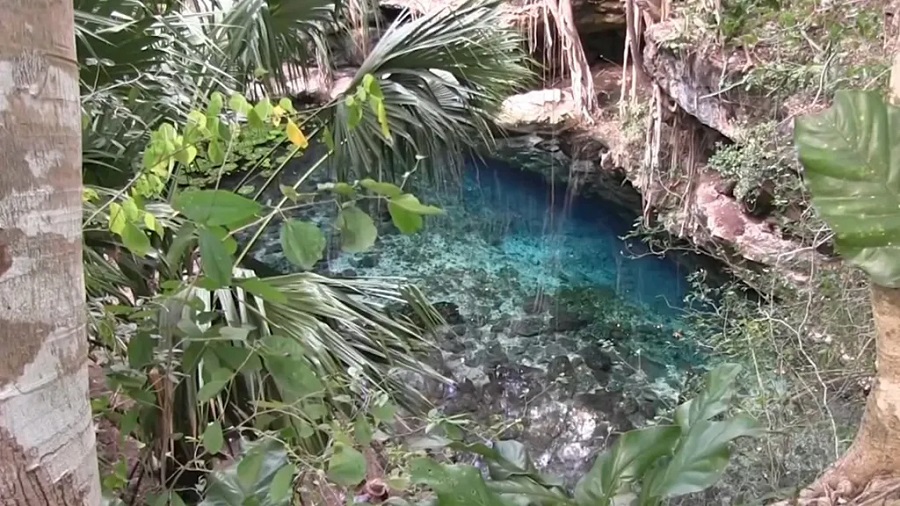 Hallan restos óseos de un perezoso gigante y caballos extintos en un cenote de Yucatán