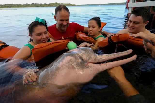 Delfines rosados sanan a personas con discapacidades físicas y mentales