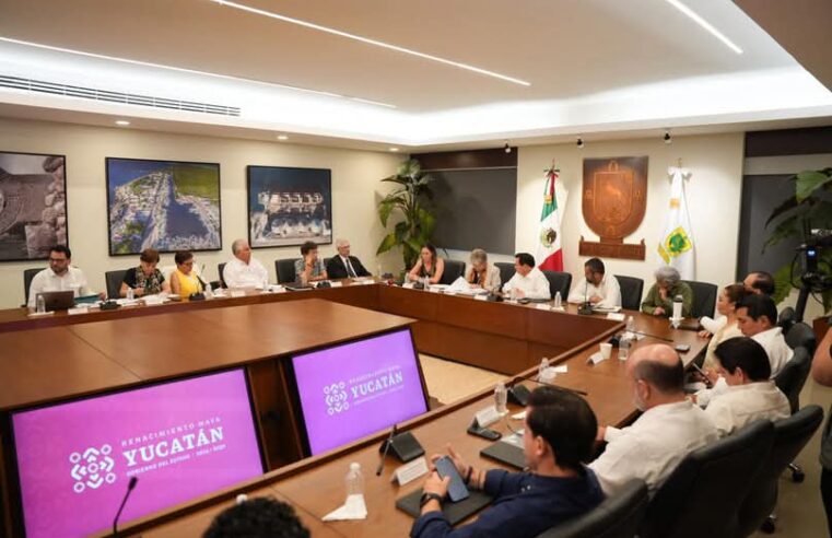 Propone Semarnat seguir estrategia de reforestación de Yucatán