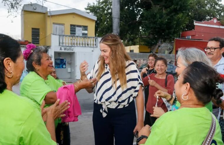 Meridanos elegirán parques y un corredor verde el 11 de mayo
