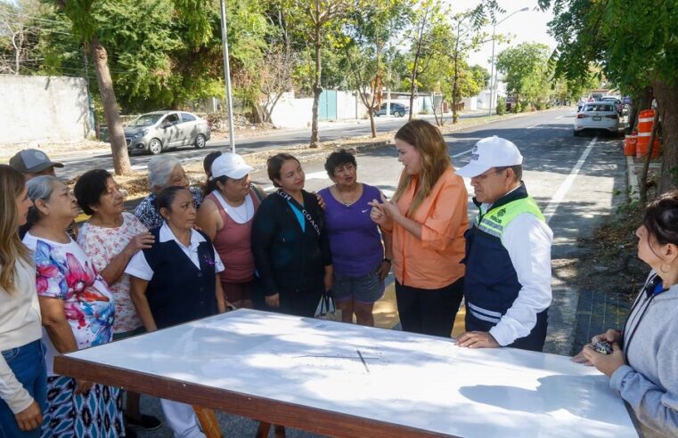 En 6 meses, el Ayuntamiento reparó 160 mil baches y repavimentó 50 kms de calles