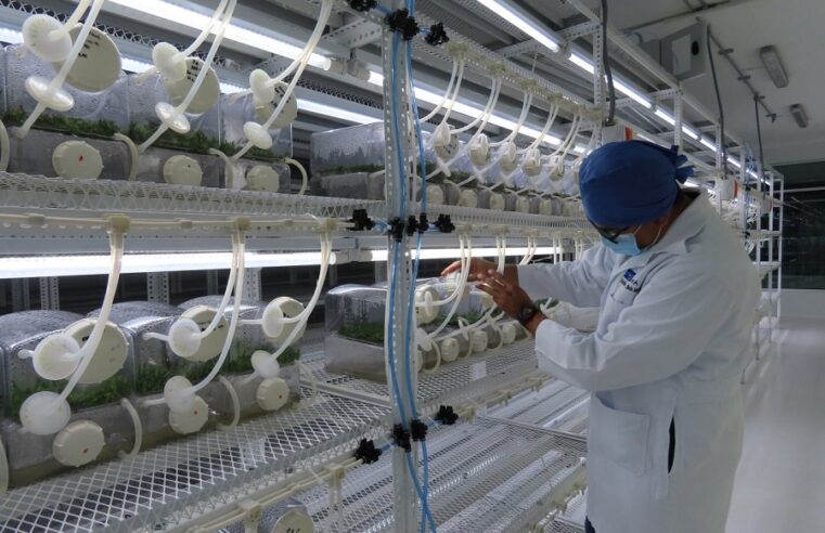 Propiedad intelectual y sustentabilidad, claves para la transferencia tecnológica