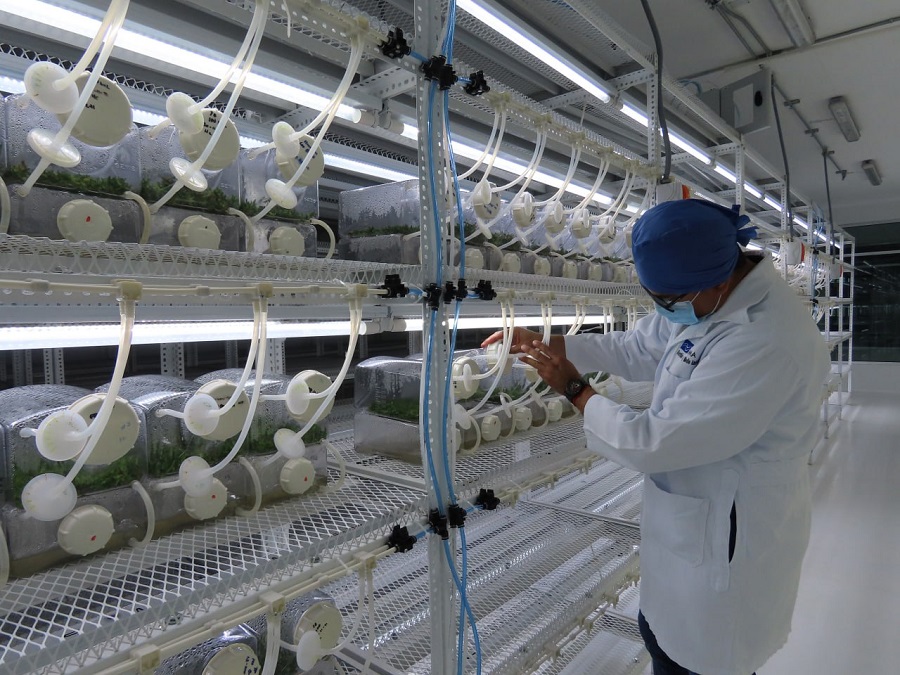 Propiedad intelectual y sustentabilidad, claves para la transferencia tecnológica