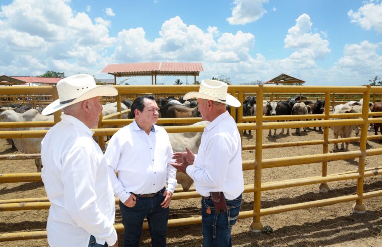El gobierno de Yucatán anuncia programas agrícolas y ganaderos