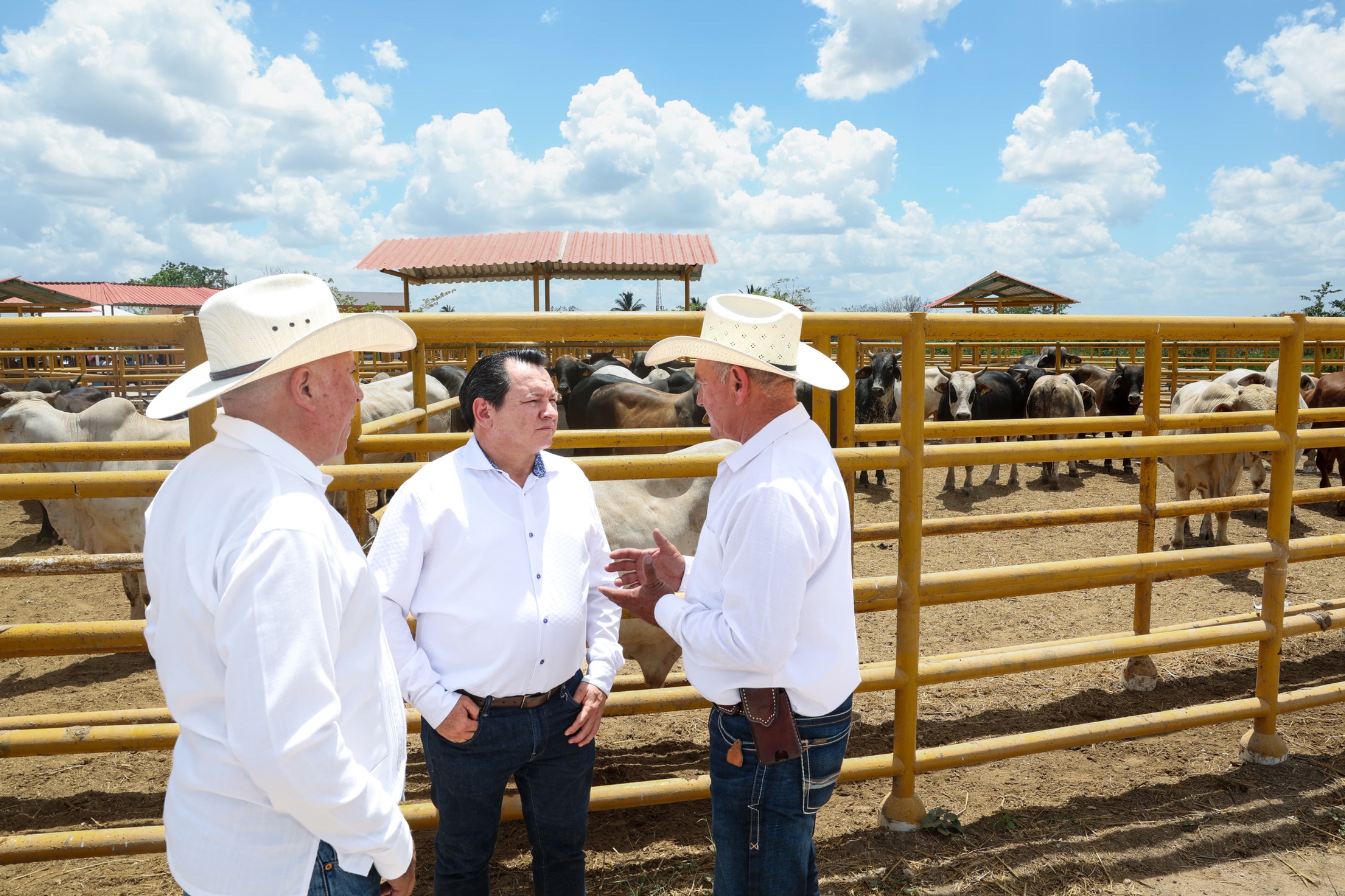 El gobierno de Yucatán anuncia programas agrícolas y ganaderos