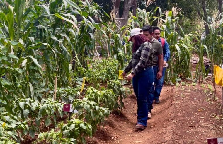 Convenio de SEDER y el Tecnológico de Conkal para aumentar producción del campo