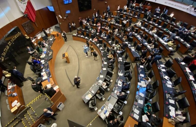 Senado aprueba como magistrados electorales por Yucatan a María Achach y Arturo Sandoval