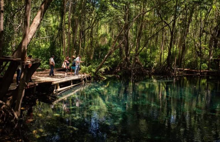 Gobierno de Yucatán impulsará a Dzilam de Bravo como destino ecoturístico