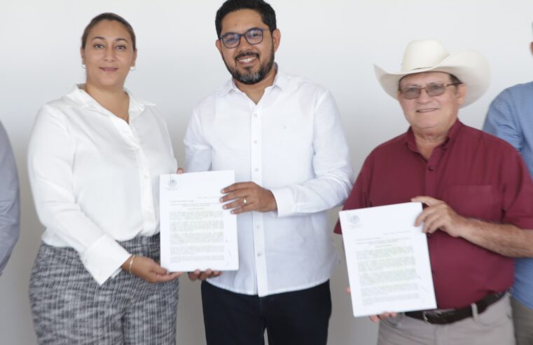 Modificarán la Constitución  Emestal en materia de simplificación administrativa 