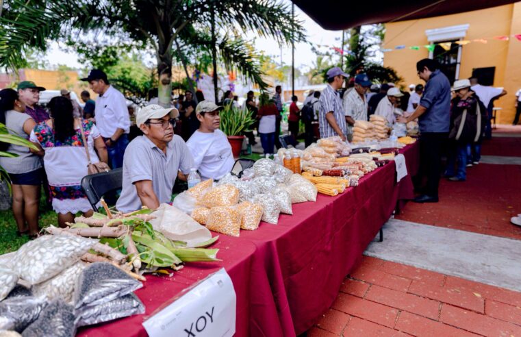 Gobierno del Estado impulsa conservación de saberes mayas
