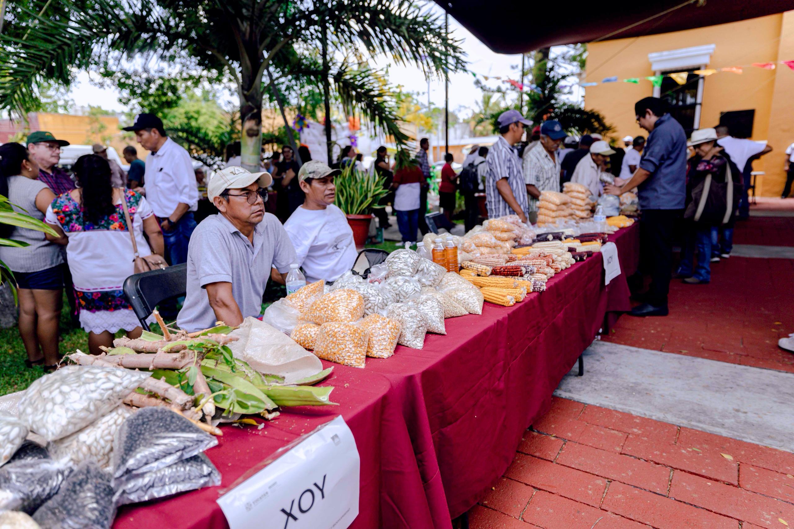 Gobierno del Estado impulsa conservación de saberes mayas