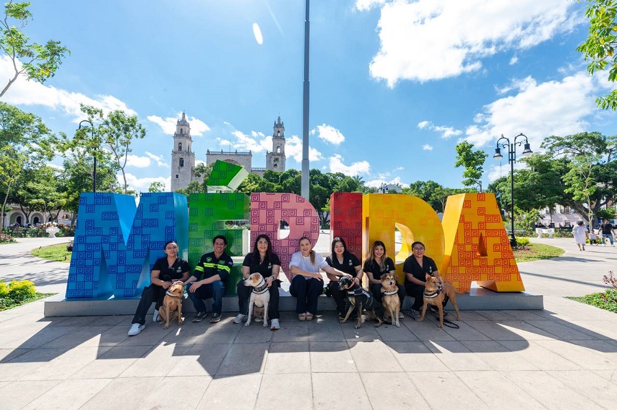 Presenta Cecilia Patrón ‘De la calle al corazón’, programa de apoyo emocional con caninos