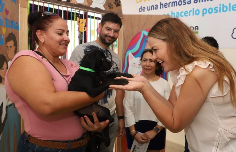 Reitera Cecilia Patrón su compromiso en el cuidado de los animales de la calle