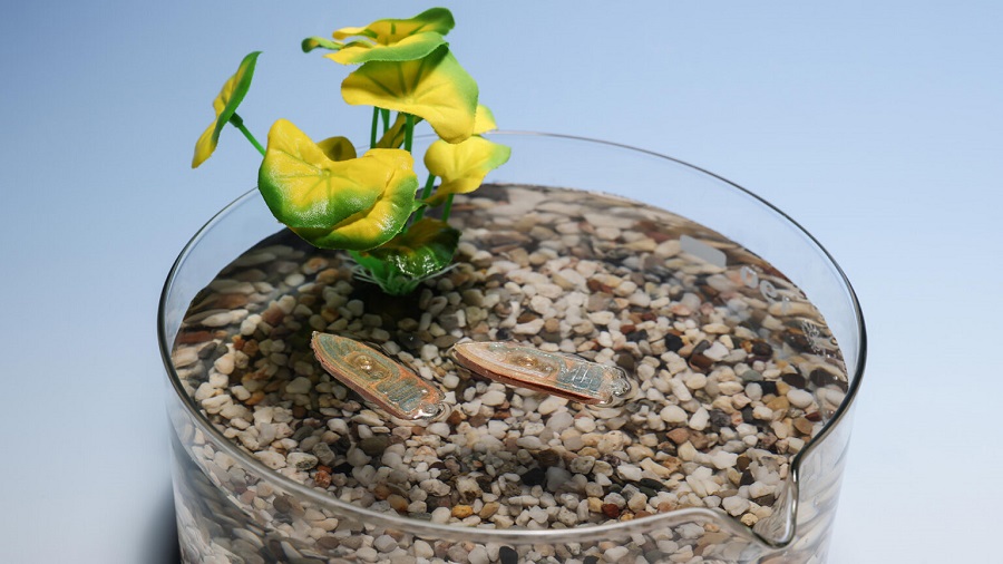 Desarrollan un robot acuático capaz de convertirse en comida para peces