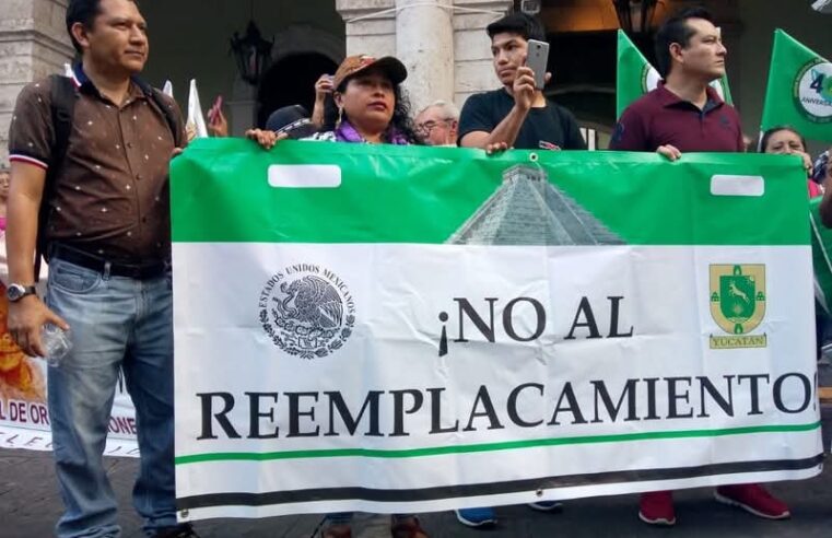 Neyda Pat criticaba con Vila el reemplacamiento, hoy paga y es hasta promotora