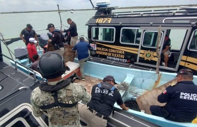 Aseguran lanchas en Celestún por pesca ilegal