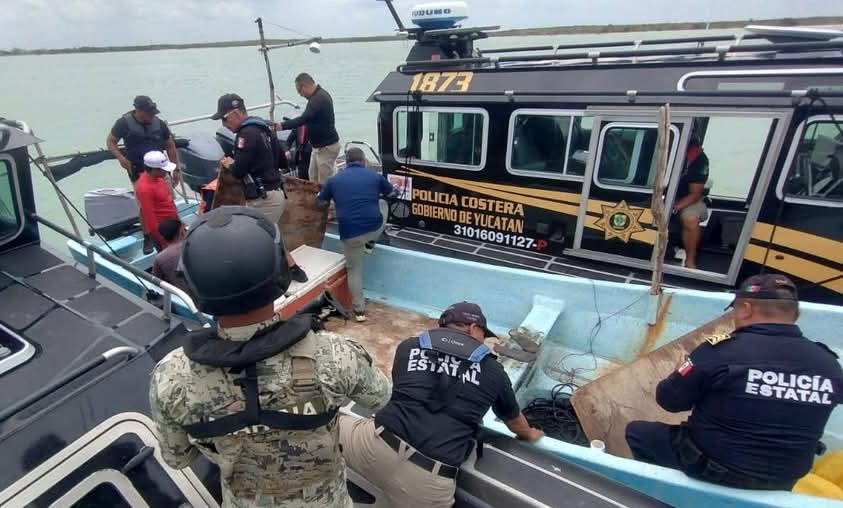 Aseguran lanchas en Celestún por pesca ilegal