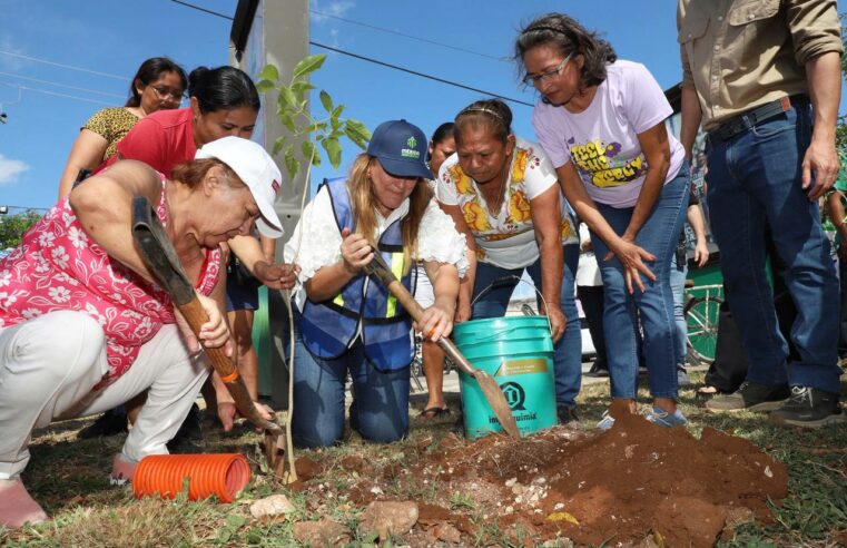 Invita Cecilia Patrón a la Cruzada Forestal; plantarán 8 mil 500 árboles en 18 días