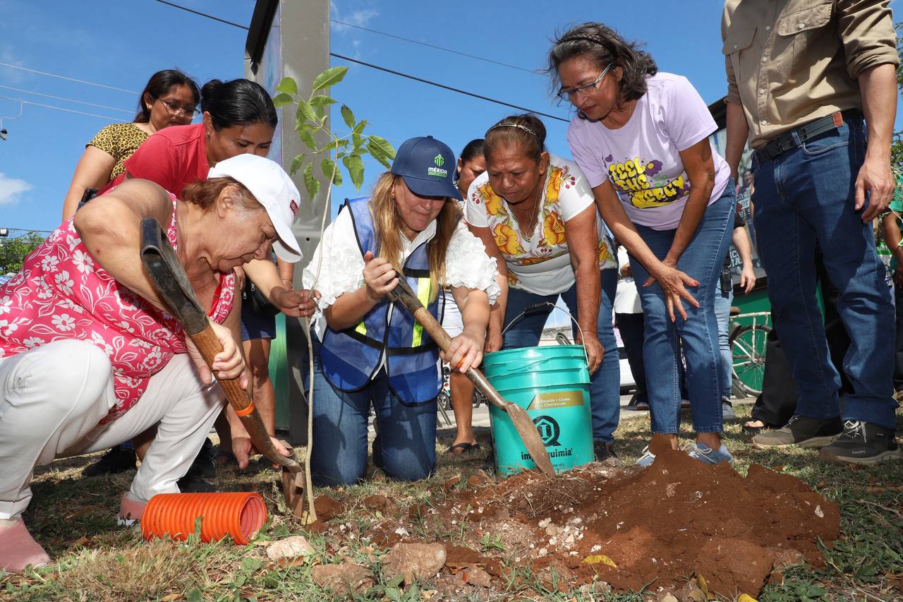 Invita Cecilia Patrón a la Cruzada Forestal; plantarán 8 mil 500 árboles en 18 días