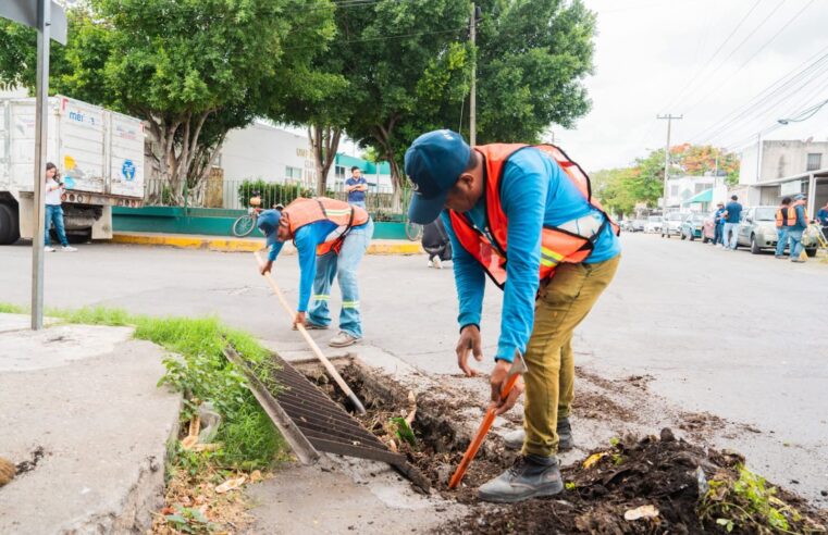 Implementa Cecilia Patrón mega operativo de limpieza en Chuburná