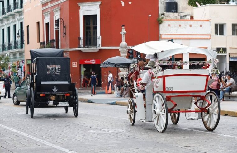 El Ayuntamiento reducirá horas de trabajo de los caballos caleseros