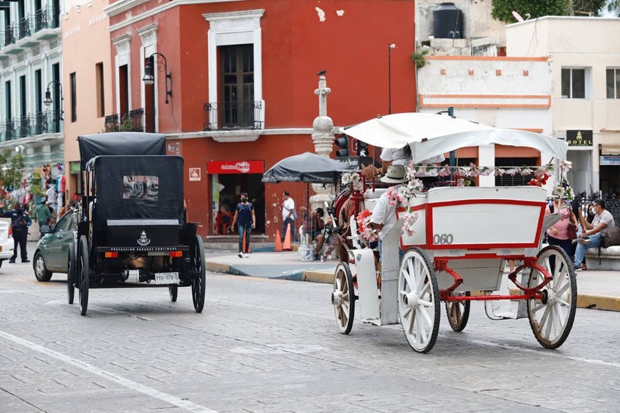 El Ayuntamiento reducirá horas de trabajo de los caballos caleseros