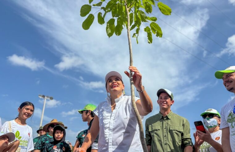 Sembramos vida en comunidad, con la Cruzada Forestal: Cecilia Patrón
